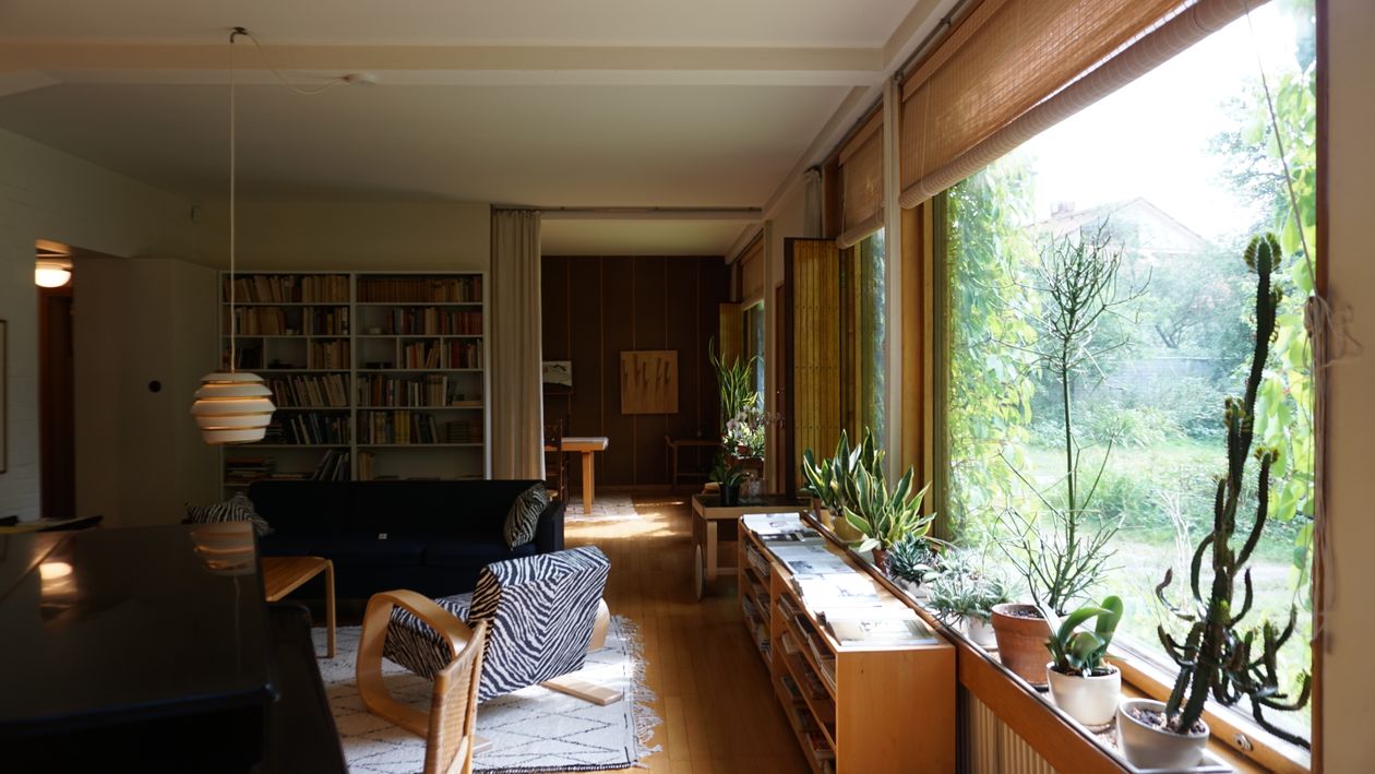 Illustrative sunlit interior with plants
